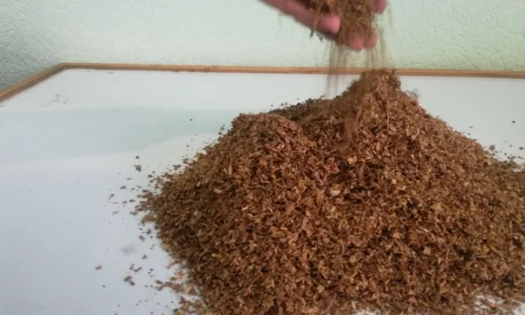 Sobranie. Продам легкий ТАБАК для самокруток - фото № 2