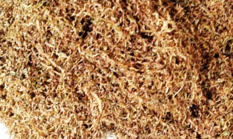 Табак зарубежное качество - фото № 1