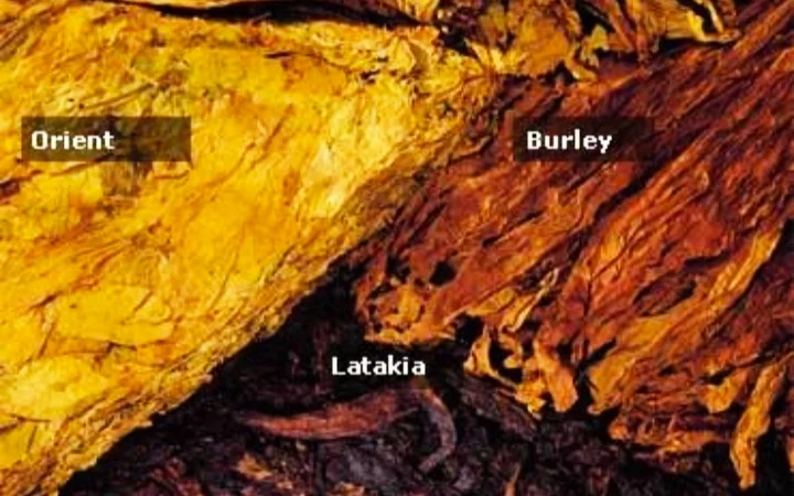 Крепкий табак Берли! , для самокруток  . Качество и крепость на высоте. Скидки и подарки - фото № 2