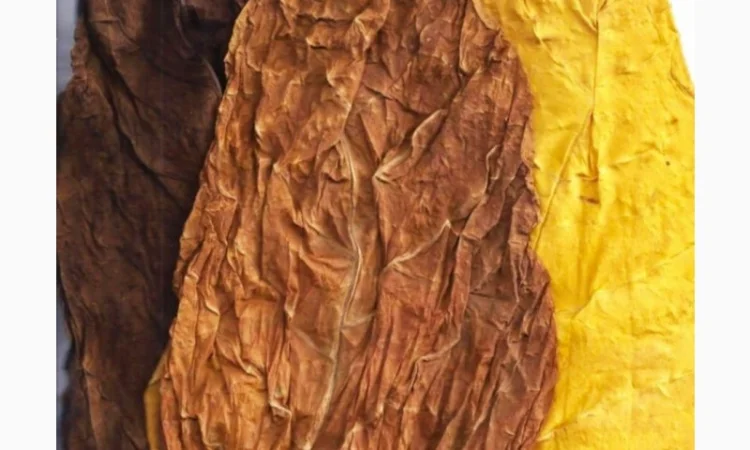 Для истинных гурманов Табак и все для него, для самокруток - фото № 3