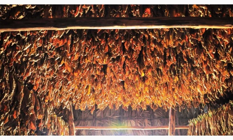 Табак на любой вкус, цвет и крепость, для самокруток - фото № 4