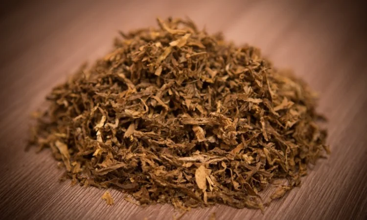 Табак - фото № 1