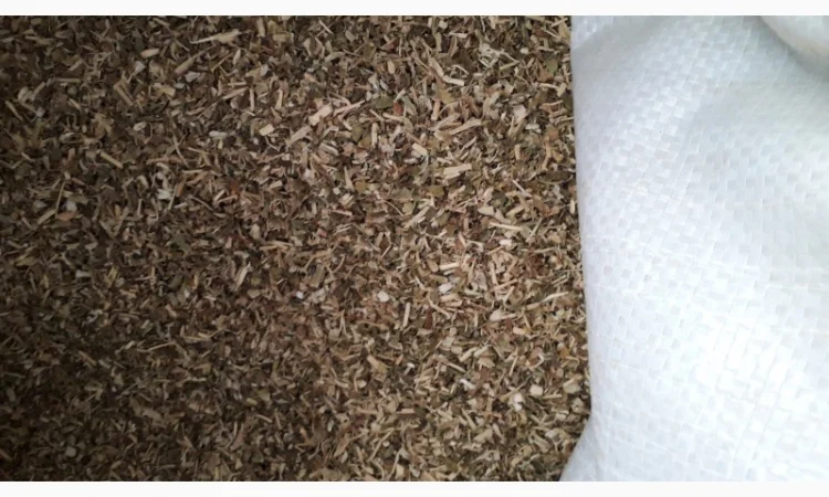 Продам махорку самосад  для самокруток - фото № 2