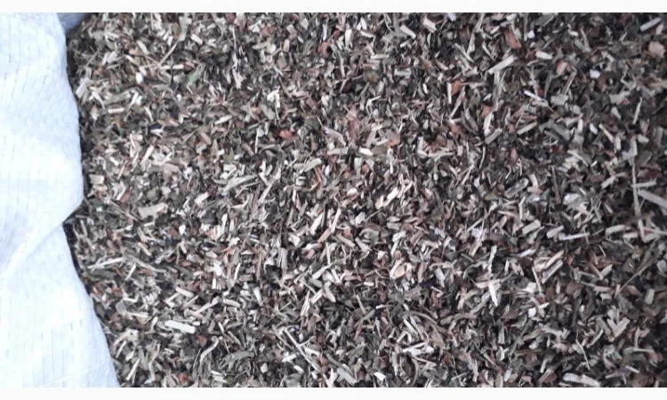 Продам махорку самосад  для самокруток - фото № 3