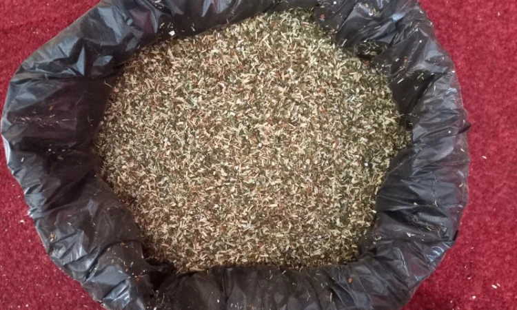 Махора самосад  для самокруток - фото № 1