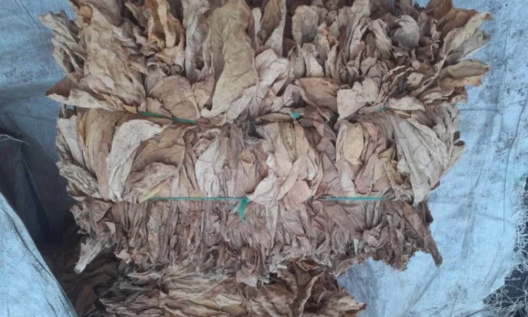 Продам тютюн для трубки , сорт Берлі, Берлей - фото № 6