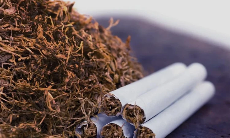 Продажа ферментированых табаков с нового сезона,  для сигарет 1 килограмм - фото № 1