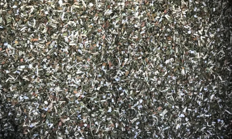 Продам махорку для сигарет 1 кг - фото № 2