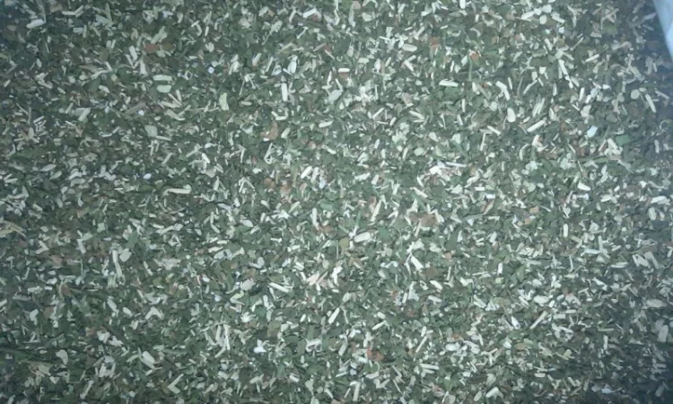 Продам Зелена МАХОРКА Самосад - Вищий Гатунок,  підійде для сигарет 1 кг - фото № 1