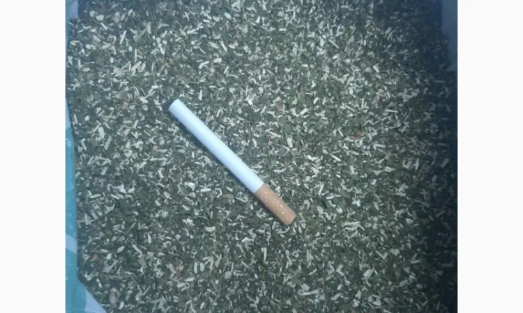 Продам Зелена МАХОРКА Самосад - Вищий Гатунок,  підійде для сигарет 1 кг - фото № 2