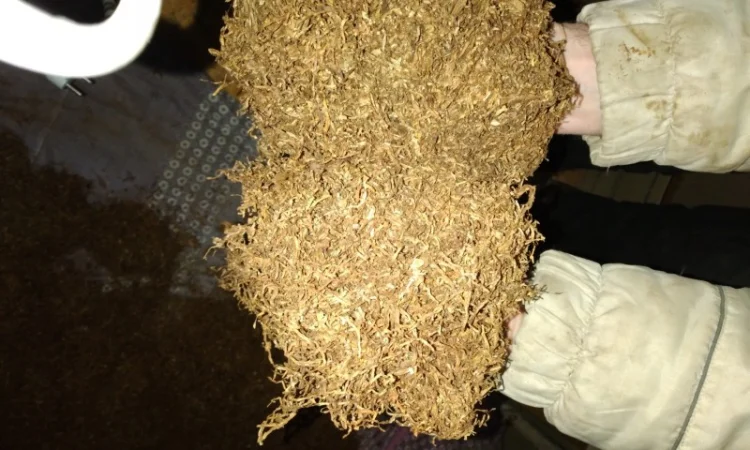 Продам Тютююююн, для самокруток - фото № 1