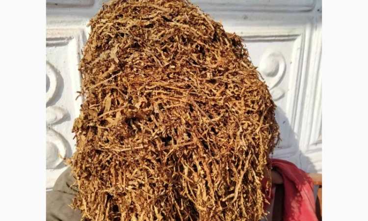 Тютюн Берлі, Вірджинія, Самосад  для сигарет 1 кг - фото № 1