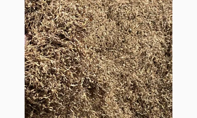 Тютюн Берлі, Вірджинія, Самосад  для сигарет 1 кг - фото № 2