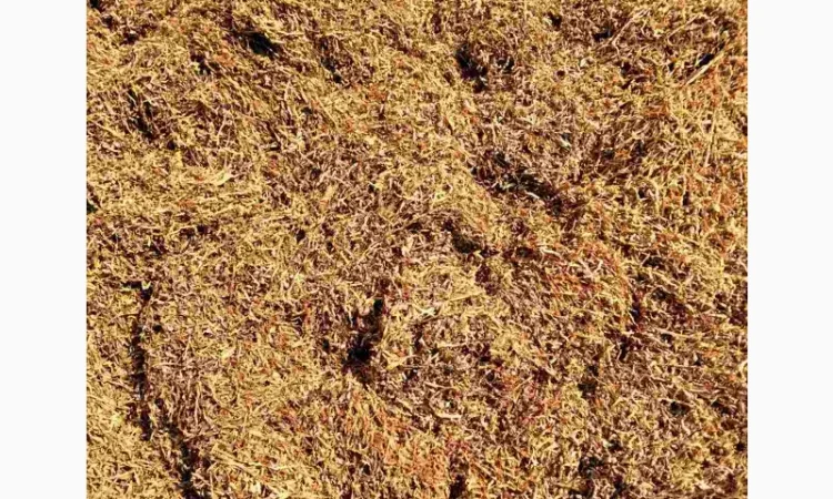 Тютюн Берлі, Вірджинія, Самосад  для сигарет 1 кг - фото № 3