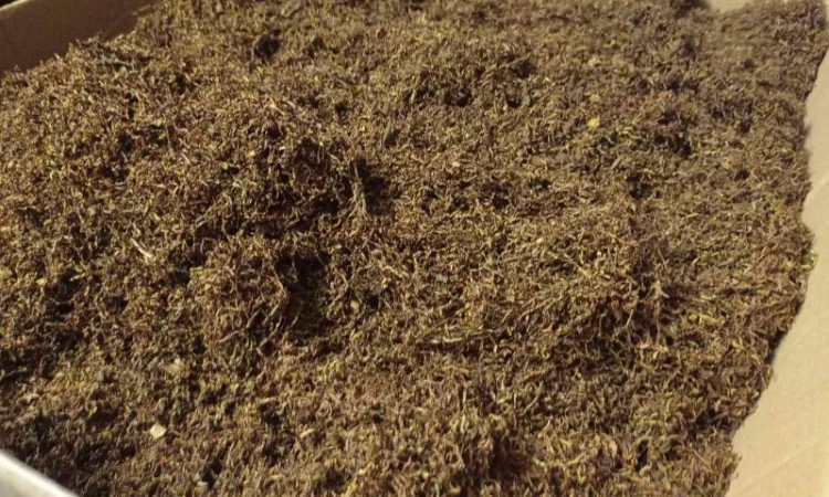 Табак Берли Вирджиния Махорка, для сигарет 1 кг - фото № 2