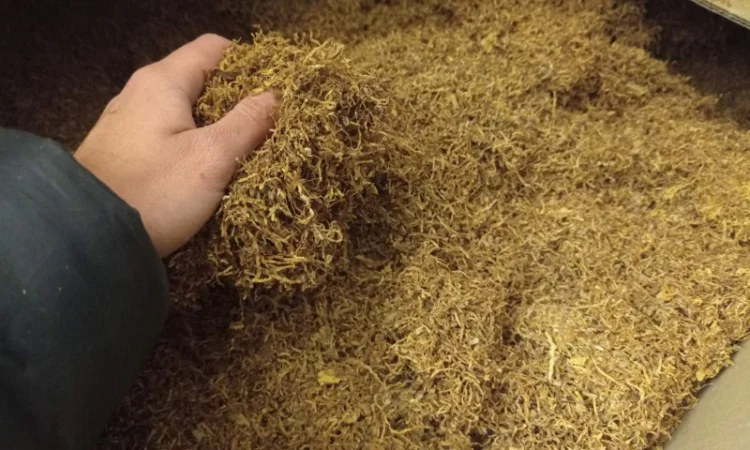 Табак Берли Вирджиния Махорка, для сигарет 1 кг - фото № 3