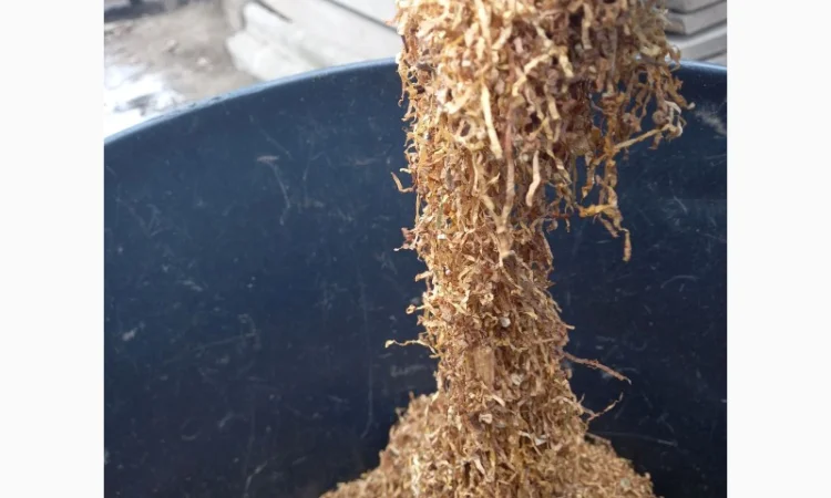 Табак лучший, - фото № 1