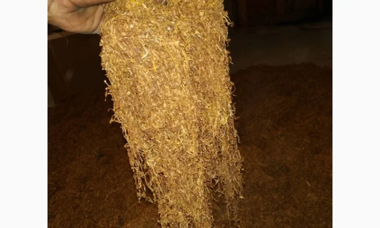 Тютюн дешево, для сигарет 1 кілограм - фото № 4