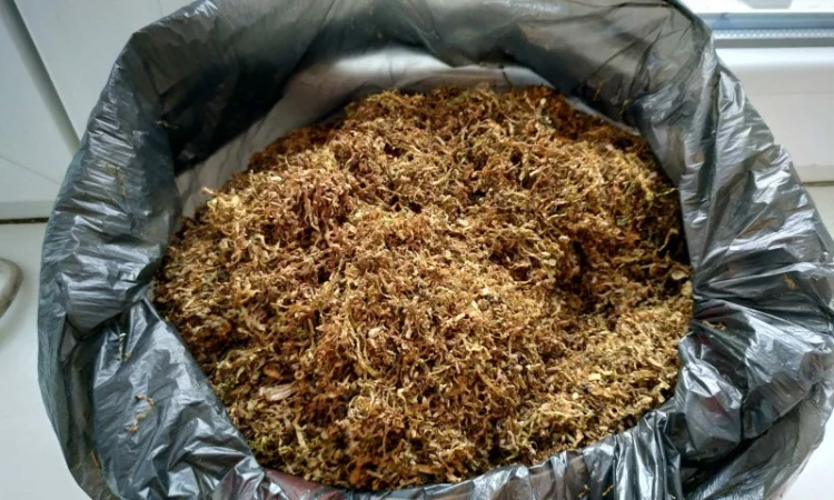 Вкусный табак - фото № 4