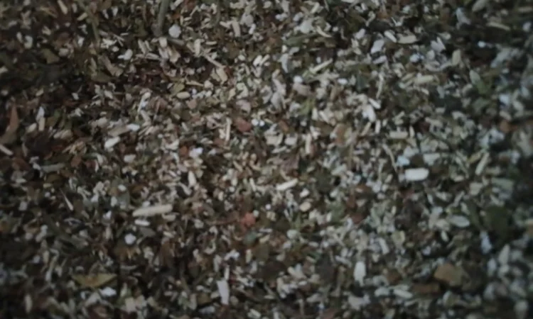 Сільське куриво для трубки - фото № 2