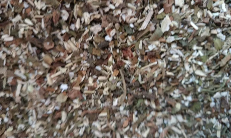 Продаю самосад для трубки - фото № 3