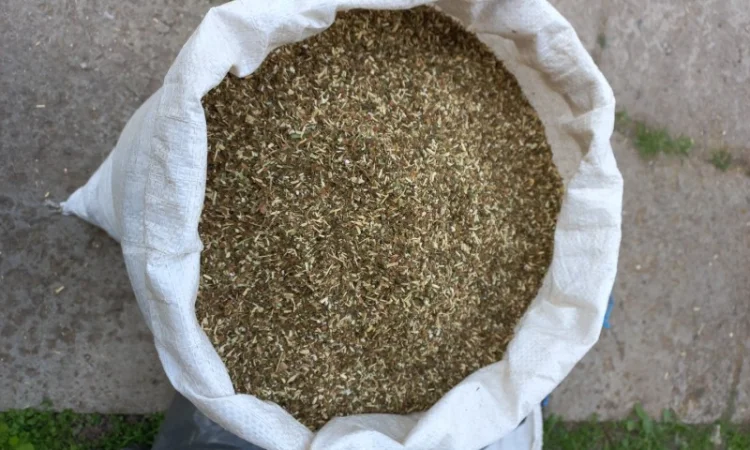 Махорка курітельна для трубки - фото № 3