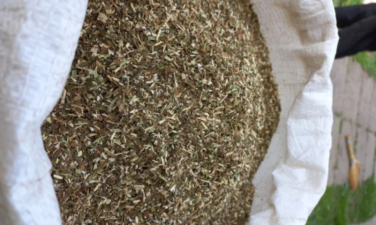 Махорка курітельна для трубки - фото № 5