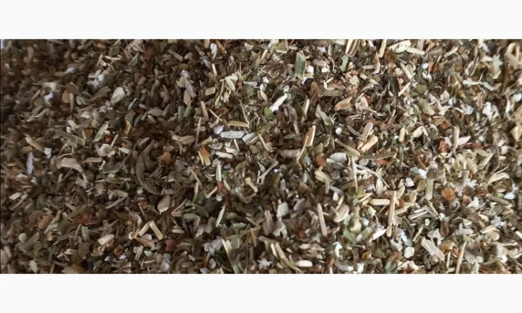 Махорка проста(самосад)  для самокруток - фото № 1