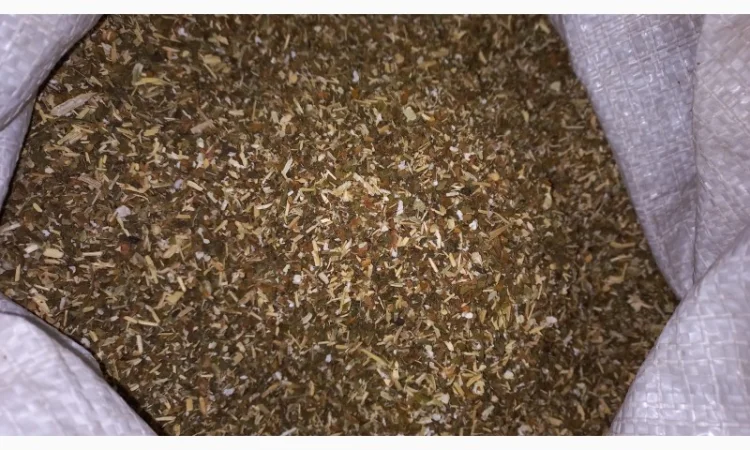 Махорка проста(самосад)  для самокруток - фото № 2