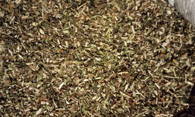 Особисто вирощена Махорка - фото № 9