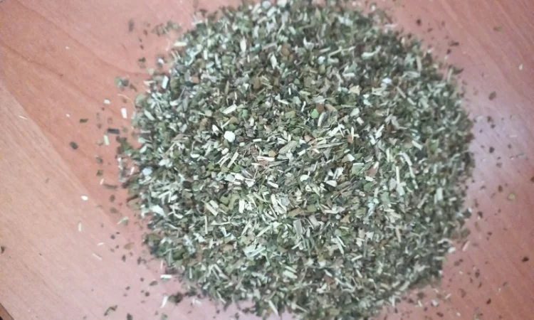 Особисто вирощена Махорка - фото № 5