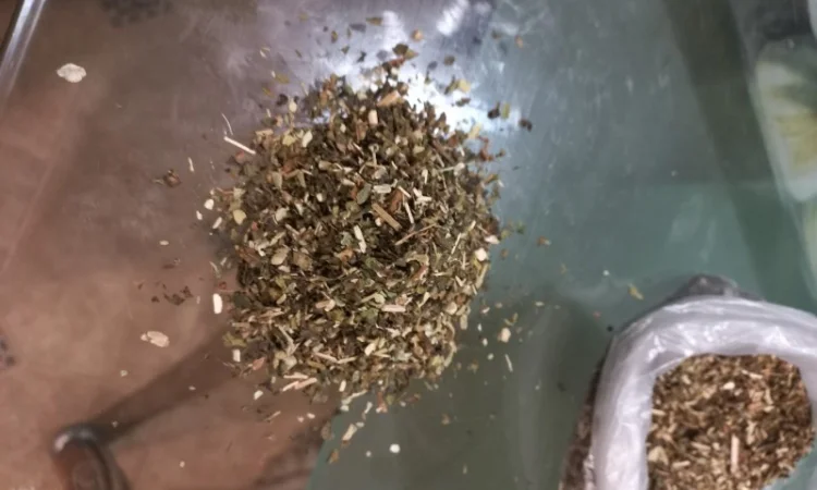 Особисто вирощена Махорка - фото № 6