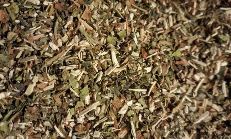 Особисто вирощена Махорка - фото № 8