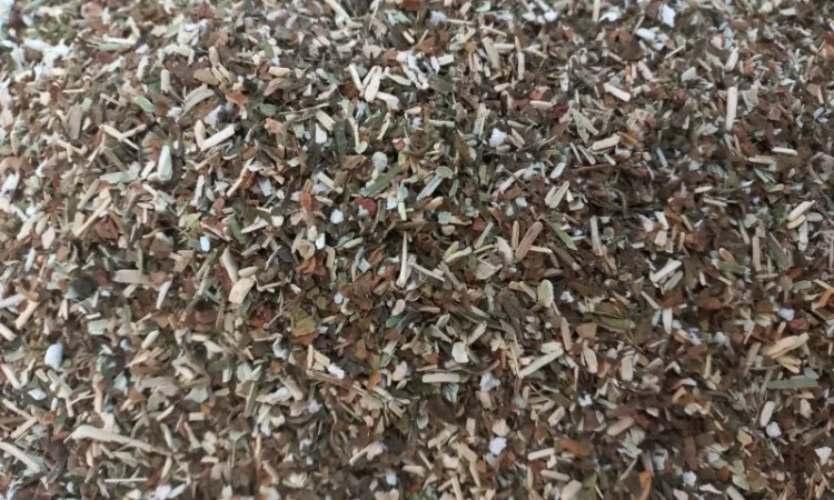 Самосад (деревенский) - фото № 1