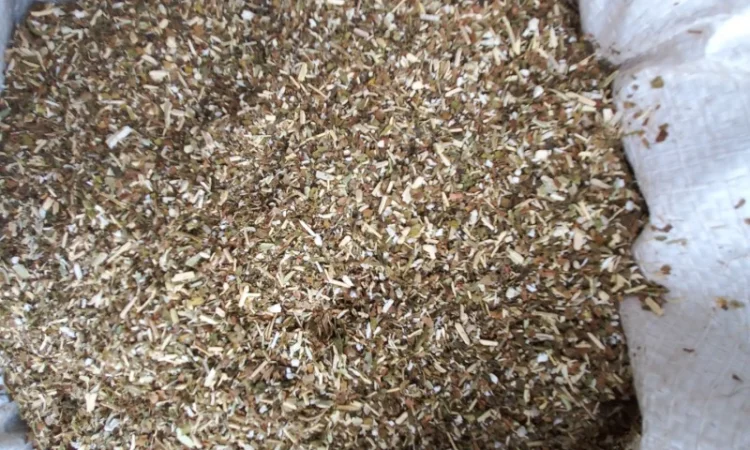 Тютюн махорка - фото № 1