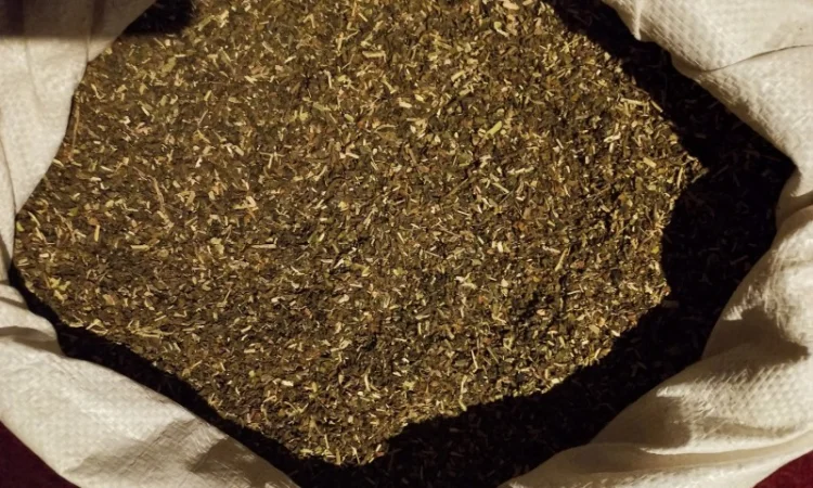 Махорка толкова - фото № 3