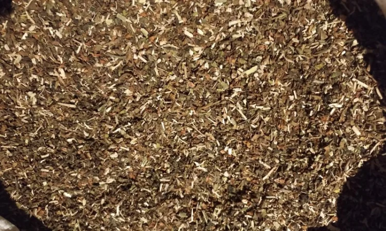 Махорка проста самосад - фото № 1