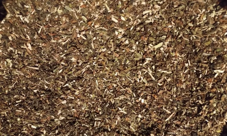 Махорка проста самосад - фото № 3