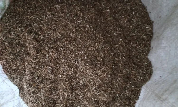 Samosad(махорка) - фото № 4