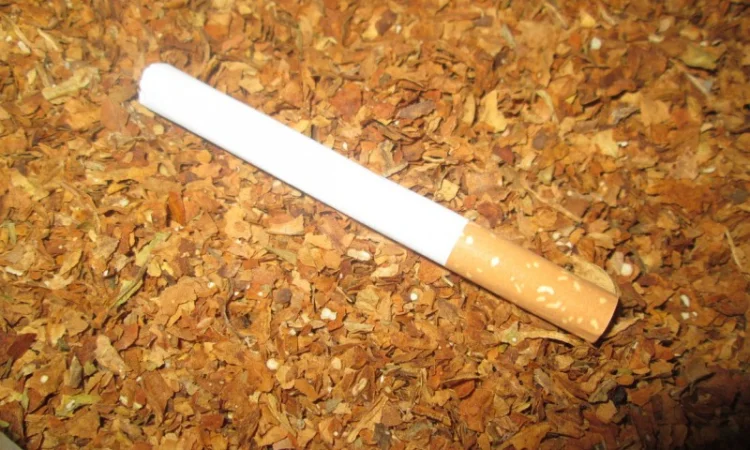 Мешок табака  для сигарет 1 кг , 450 грн/кг - фото № 4