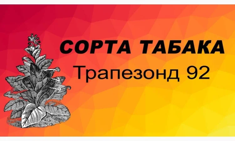 Продам табак Трапезонд 92 - 150 грн/упаковка - фото № 1