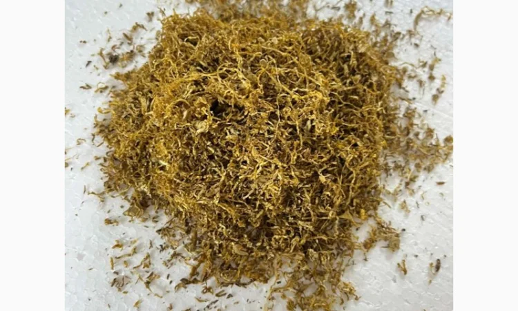 Урожай 2023 року Вірджинія Голд легкий сердній  тютюн для сигарет 1 кг. Краща ціна - фото № 1