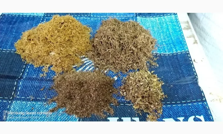 Табак Вирджиния, Берли, Тернополь лапшой , для сигарет 1 кг - фото № 1