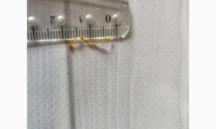 Тютюн Капітан Блек, вишня. CAPTAIN BLACK Черрі, Харківська обл. - фото № 3