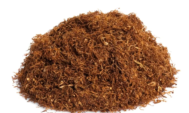 ІМПОРТНИЙ тютюн БЕРЛІ - дивовижний смак !!! ЧУДОВА якість!!!+ величезний вибір - фото № 5