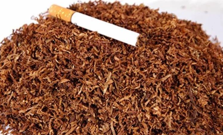 ТАБАК - Burley Dark - качество за ДОСТУПНУЮ ЦЕНУ - фото № 3