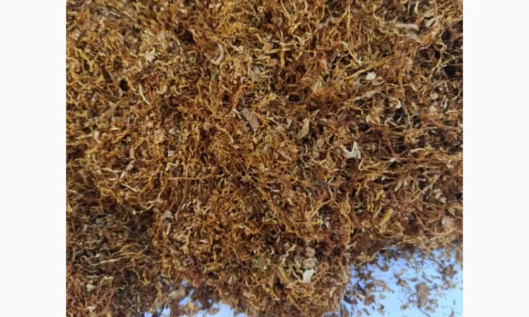 Ароматный табак разной нарезки - фото № 2