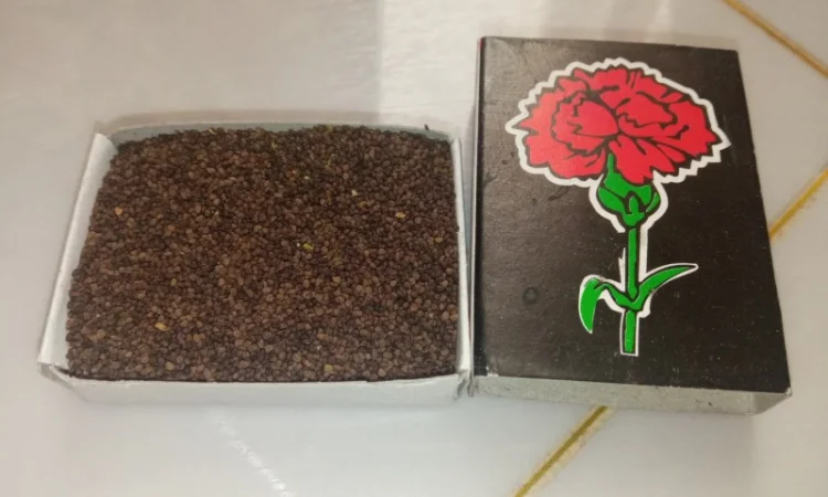 Продам насіння тютюну. Табак. Самосад. Махорка - фото № 1