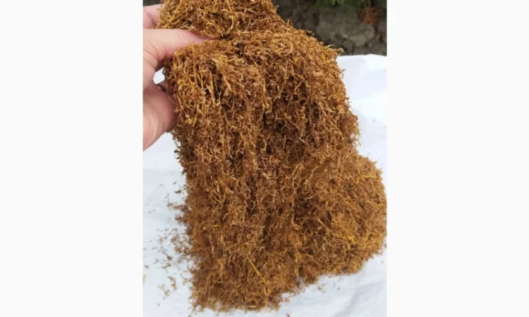 Продам хороший тютюн для самокруток - фото № 1