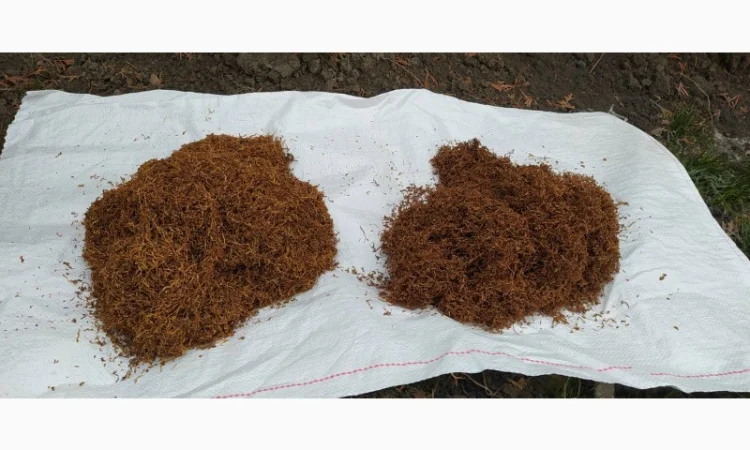 Продам хороший тютюн для самокруток - фото № 2